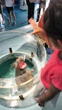 下田海中水族館に投稿された画像（2024/9/22）