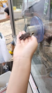 下田海中水族館に投稿された画像（2024/9/22）