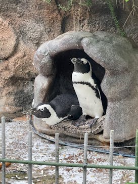 サンシャイン水族館に投稿された画像（2024/9/22）