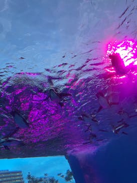 サンシャイン水族館に投稿された画像（2024/9/22）