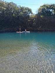 鼓動に投稿された画像（2024/9/22）