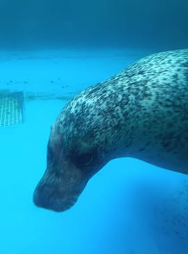 四国水族館に投稿された画像（2024/9/22）
