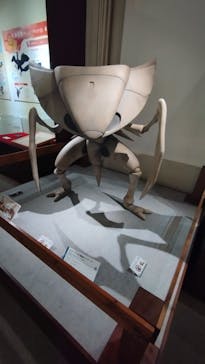 岐阜県博物館に投稿された画像（2024/9/22）