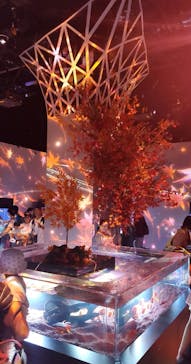 マクセル アクアパーク品川に投稿された画像（2024/9/22）