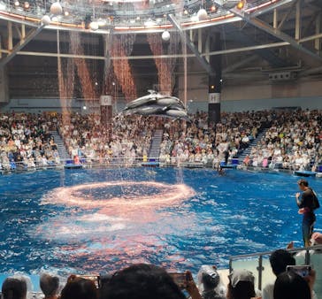 マクセル アクアパーク品川に投稿された画像（2024/9/22）