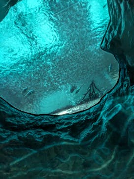 スパリゾートハワイアンズに投稿された画像（2024/9/22）