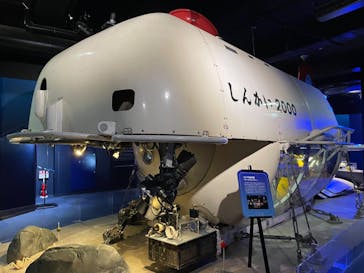 新江ノ島水族館に投稿された画像（2024/9/22）