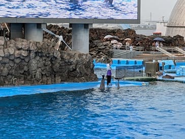名古屋港水族館に投稿された画像（2024/9/22）