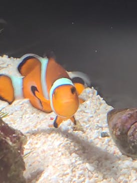 マリンワールド海の中道に投稿された画像（2024/9/22）