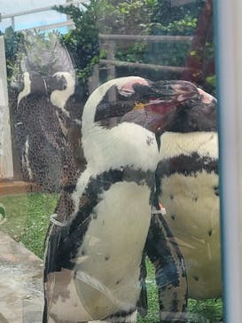 マリンワールド海の中道に投稿された画像（2024/9/22）