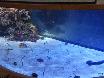 名古屋港水族館に投稿された画像（2024/9/22）