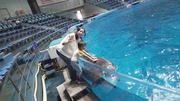 マクセル アクアパーク品川に投稿された画像（2024/9/22）