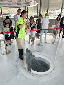 しながわ水族館に投稿された画像（2024/9/22）