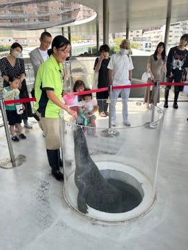 しながわ水族館に投稿された画像（2024/9/22）