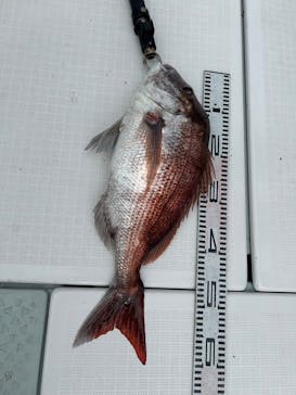 つり太郎に投稿された画像（2024/9/22）