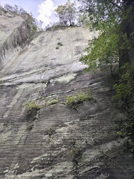 ウィーガイド鋸山に投稿された画像（2024/9/22）