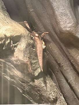 竹島水族館に投稿された画像（2024/9/22）