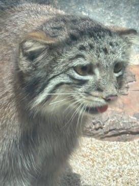 神戸どうぶつ王国に投稿された画像（2024/9/22）