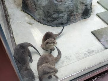 横浜・八景島シーパラダイスに投稿された画像（2024/9/22）