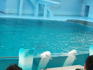 横浜・八景島シーパラダイスに投稿された画像（2024/9/22）