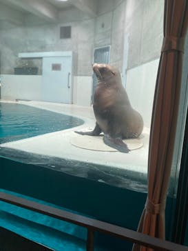 大分マリーンパレス水族館 「うみたまご」に投稿された画像（2024/9/22）