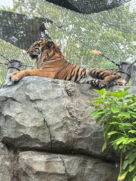 名古屋市東山動植物園に投稿された画像（2024/9/22）