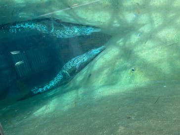 名古屋市東山動植物園に投稿された画像（2024/9/22）