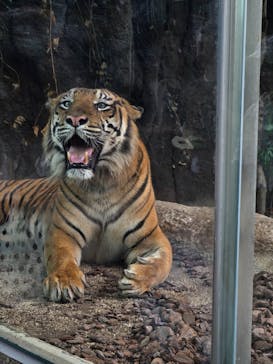 神戸どうぶつ王国に投稿された画像（2024/9/22）