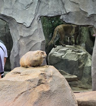 神戸どうぶつ王国に投稿された画像（2024/9/22）