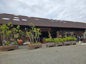 神戸どうぶつ王国に投稿された画像（2024/9/22）