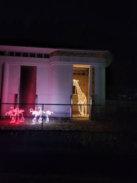 静岡市立日本平動物園に投稿された画像（2024/9/22）