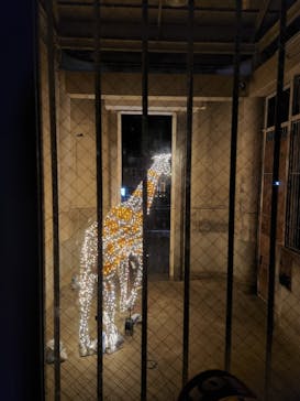 静岡市立日本平動物園に投稿された画像（2024/9/22）