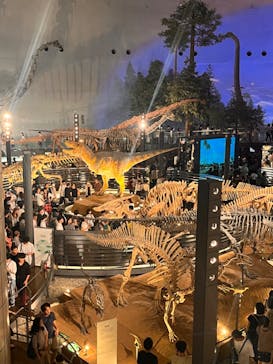 福井県立恐竜博物館に投稿された画像（2024/9/22）