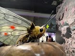 特別展「昆虫 MANIAC」（国立科学博物館）に投稿された画像（2024/9/23）