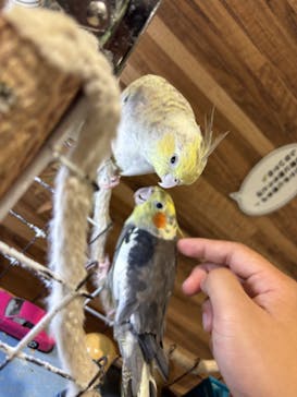 アニタッチアクアシティお台場に投稿された画像（2024/9/22）