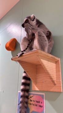 アニタッチアクアシティお台場に投稿された画像（2024/9/22）