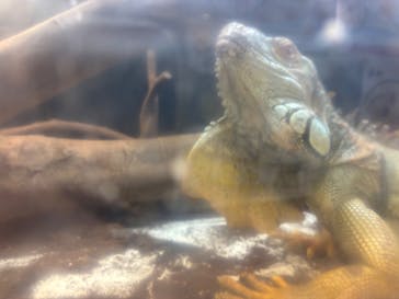 アニタッチアクアシティお台場に投稿された画像（2024/9/22）