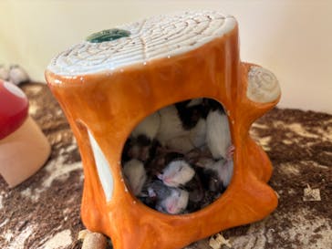 アニタッチアクアシティお台場に投稿された画像（2024/9/22）