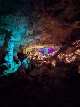 石垣島鍾乳洞に投稿された画像（2024/9/23）