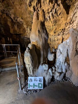 石垣島鍾乳洞に投稿された画像（2024/9/23）
