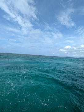 川平マリンサービスに投稿された画像（2024/9/23）