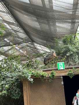 神戸どうぶつ王国に投稿された画像（2024/9/23）