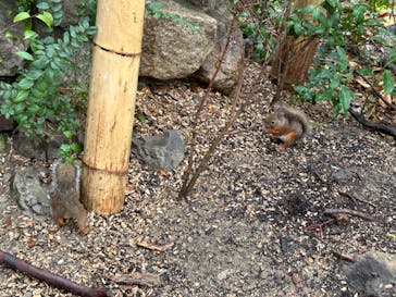 神戸どうぶつ王国に投稿された画像（2024/9/23）