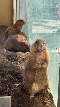 日立市かみね動物園に投稿された画像（2024/9/23）