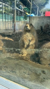 日立市かみね動物園に投稿された画像（2024/9/23）