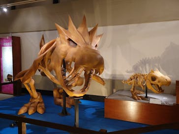 岐阜県博物館に投稿された画像（2024/9/23）