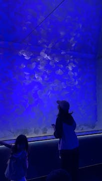 アクアワールド茨城県大洗水族館に投稿された画像（2024/9/23）