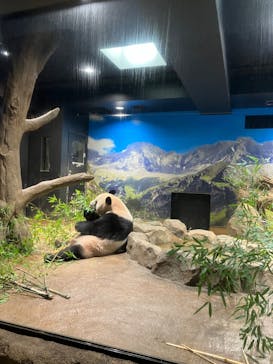 恩賜上野動物園に投稿された画像（2024/9/23）