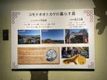 名古屋市東山動植物園に投稿された画像（2024/9/23）