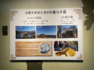 名古屋市東山動植物園に投稿された画像（2024/9/23）